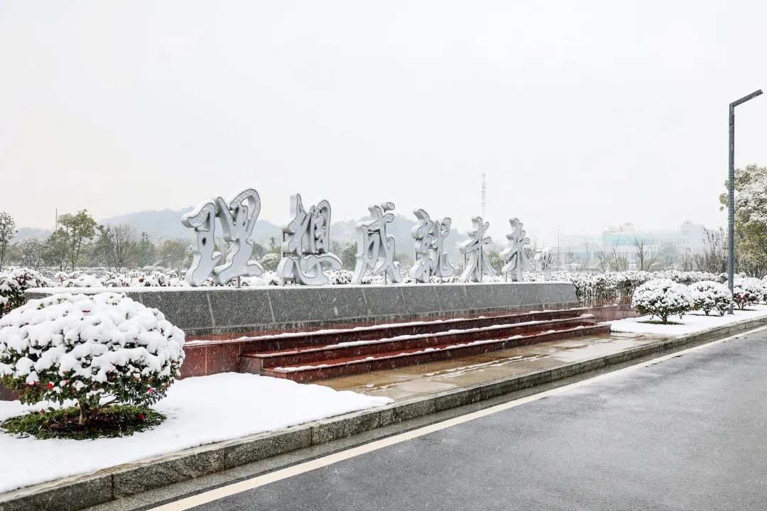瑞雪兆丰年，邀您共赏雪中j9国际集团！
